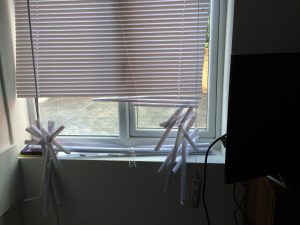 Zelda destroyed the blinds